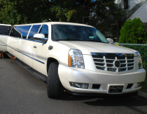 CLICK HERE | Price $380